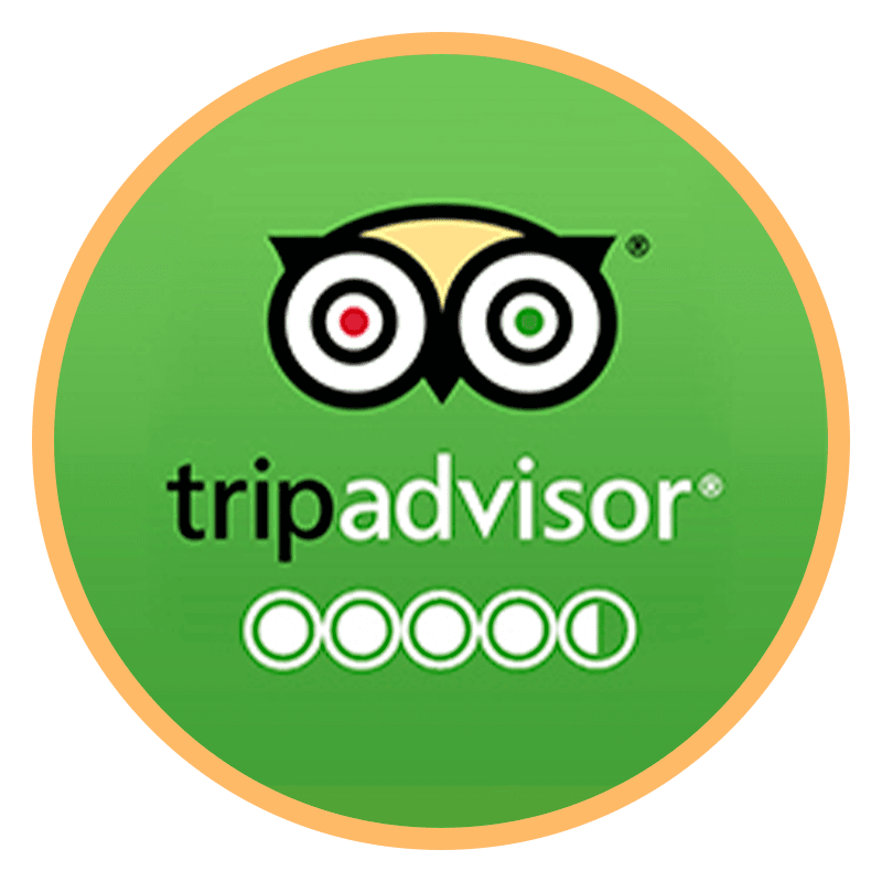TripAdvisor